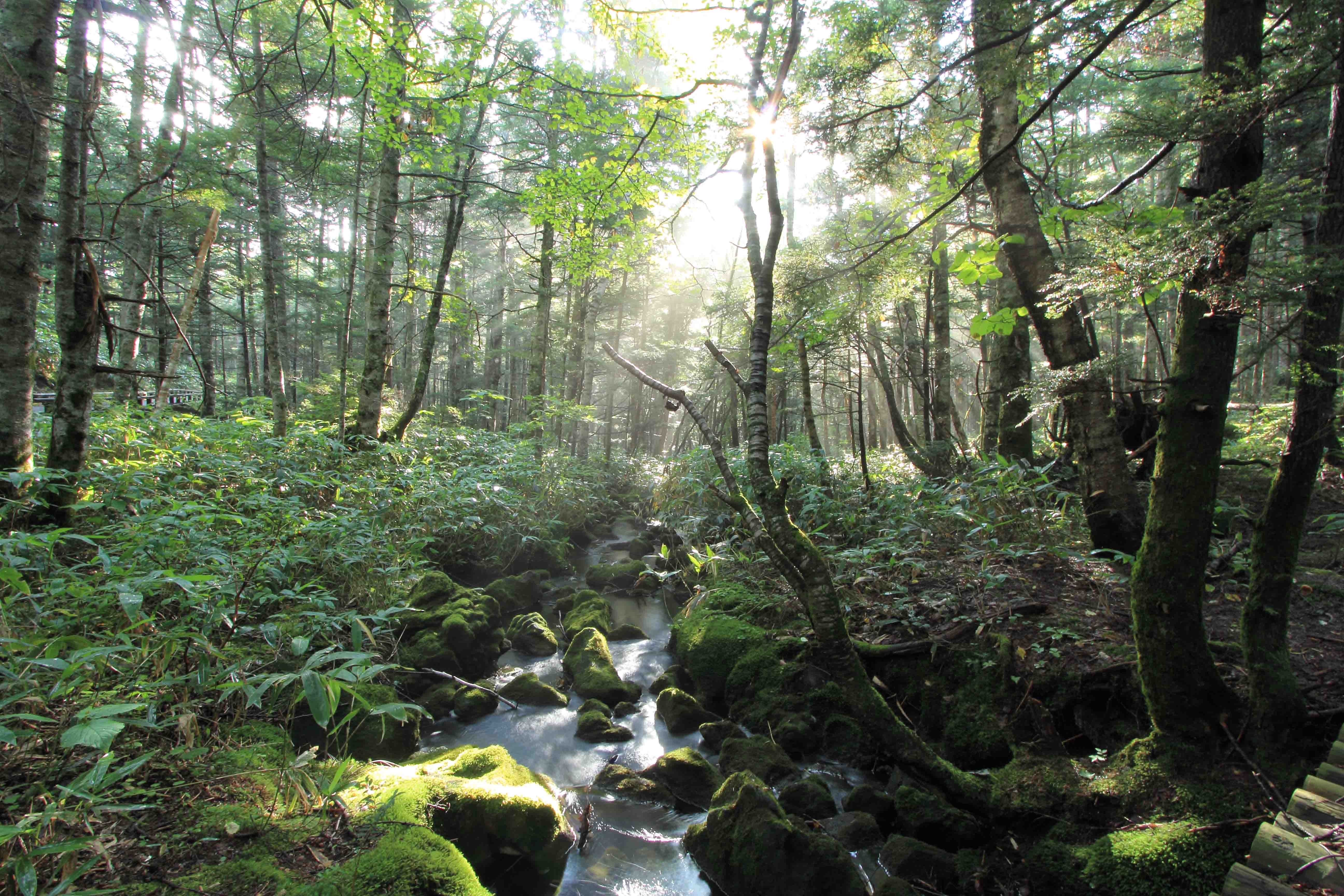 画像1　乗鞍高原　長野県