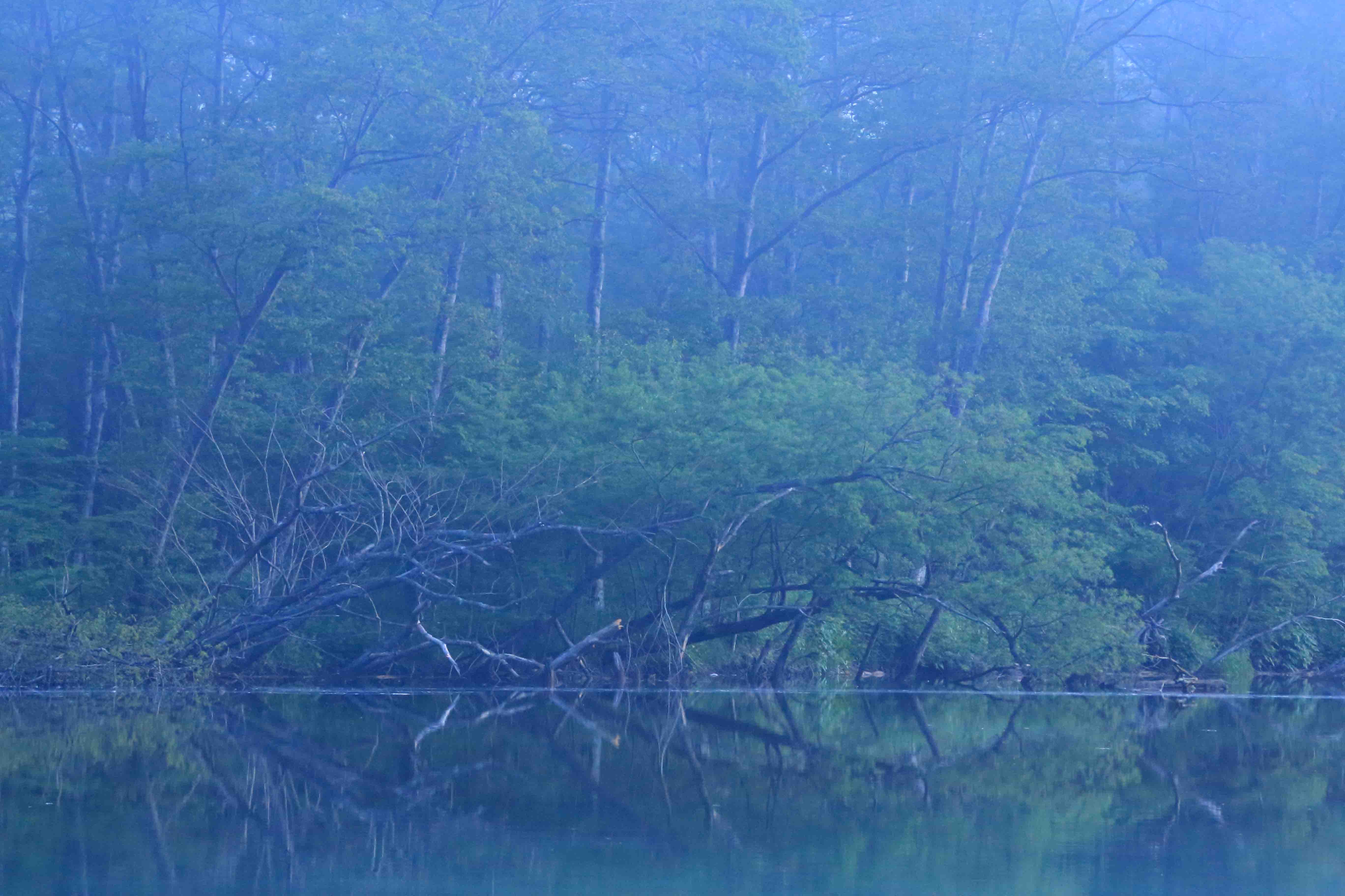 画像3　上高地・大正池