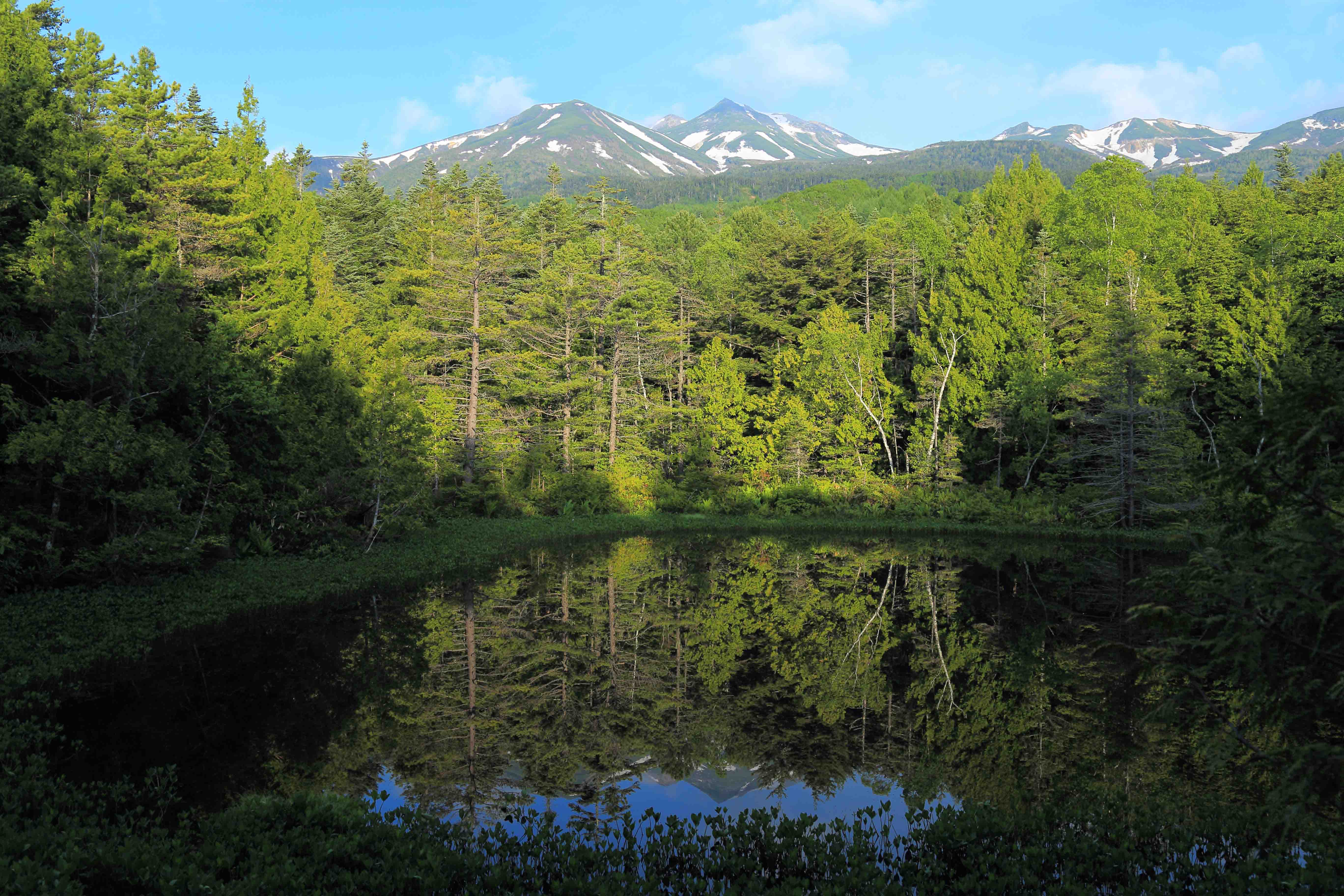 画像7　牛留池　長野県