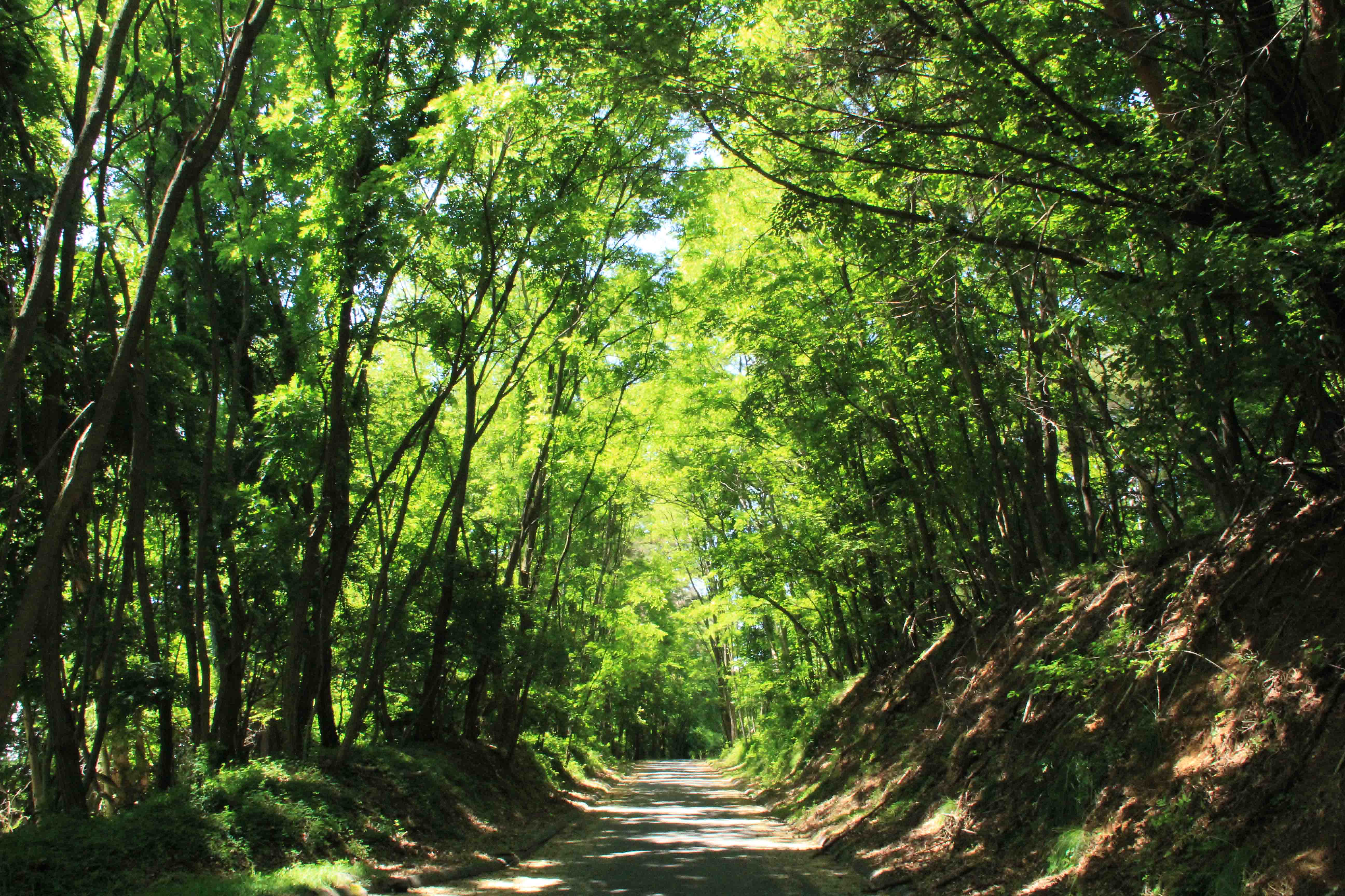 画像10　長野県安曇野市