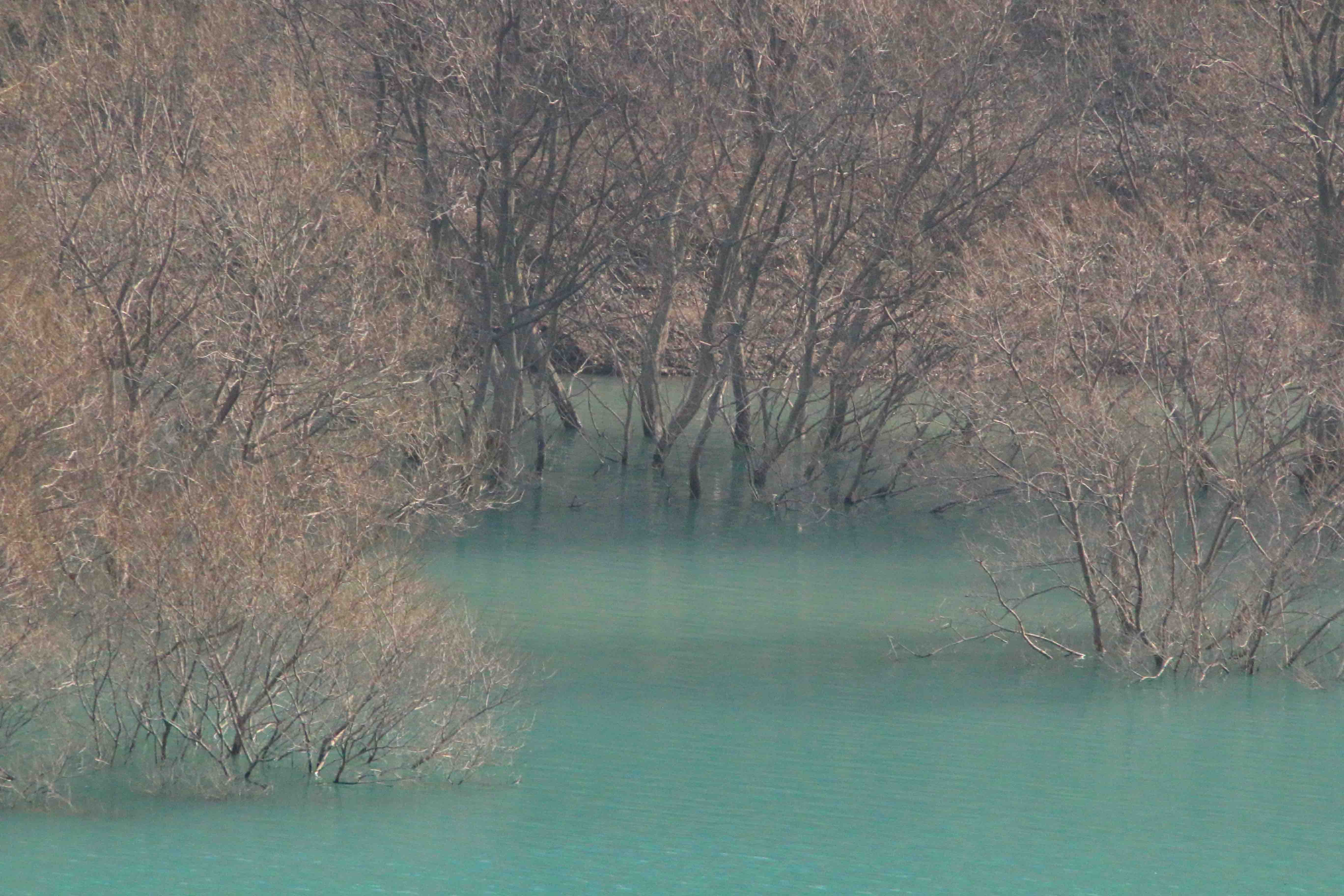 画像8　日高川椿山ダム湖　和歌山県