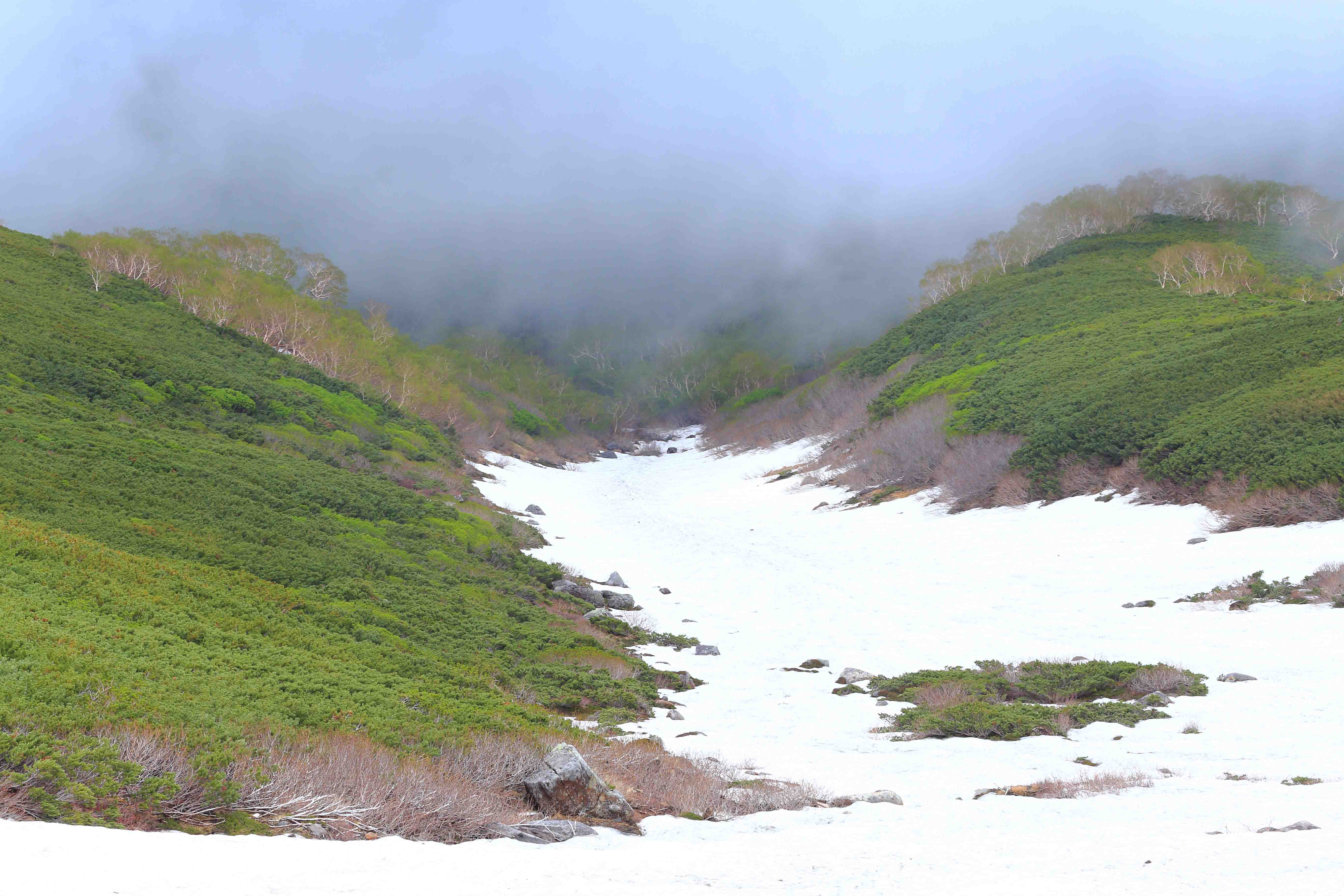 画像8　乗鞍岳　長野県