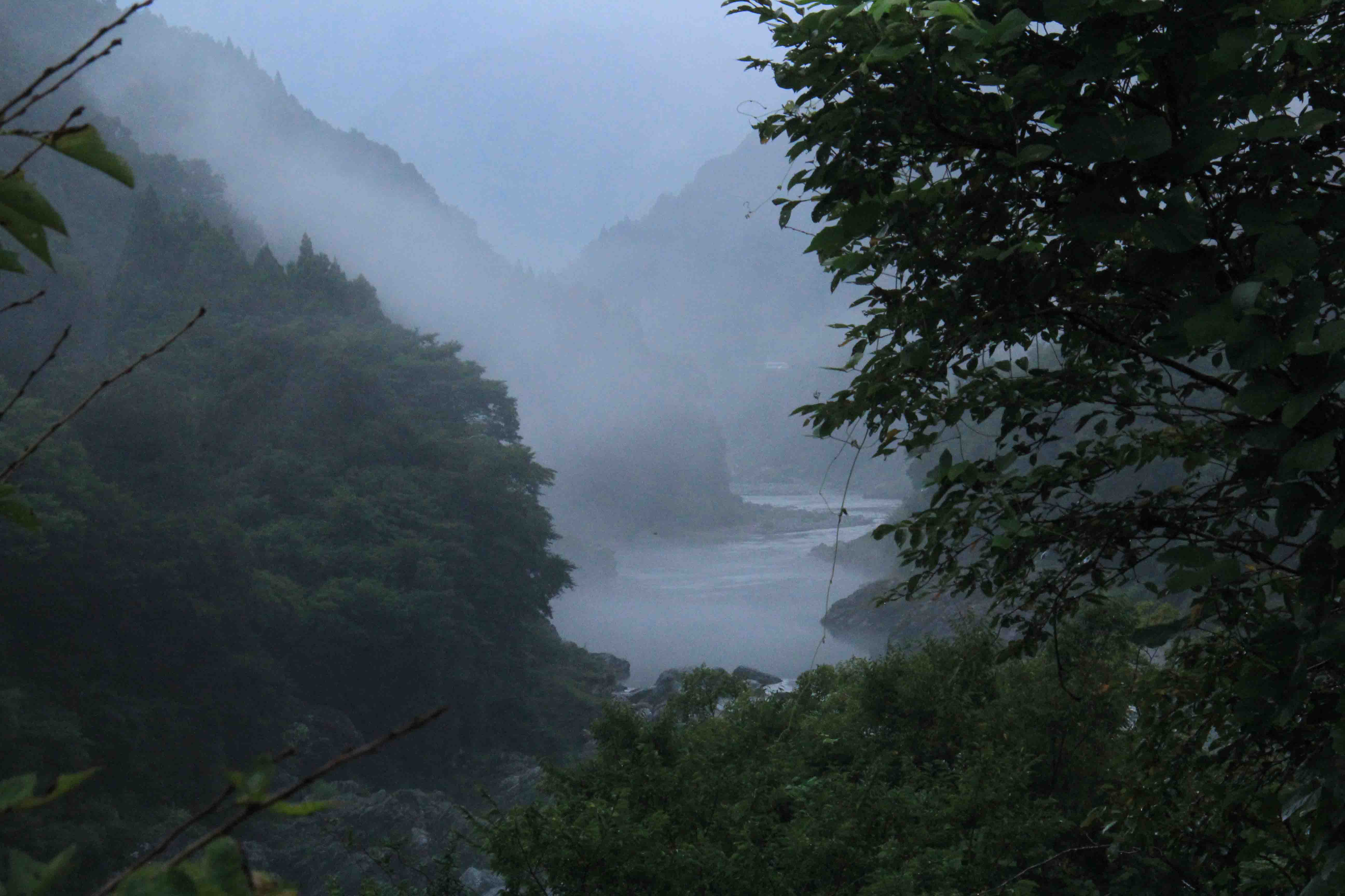 画像7　吉野川　徳島県