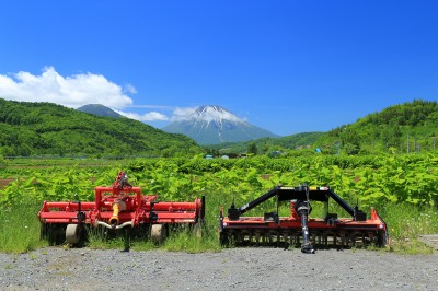 羊蹄山の絶景