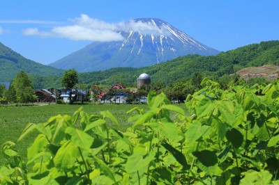 羊蹄山の絶景