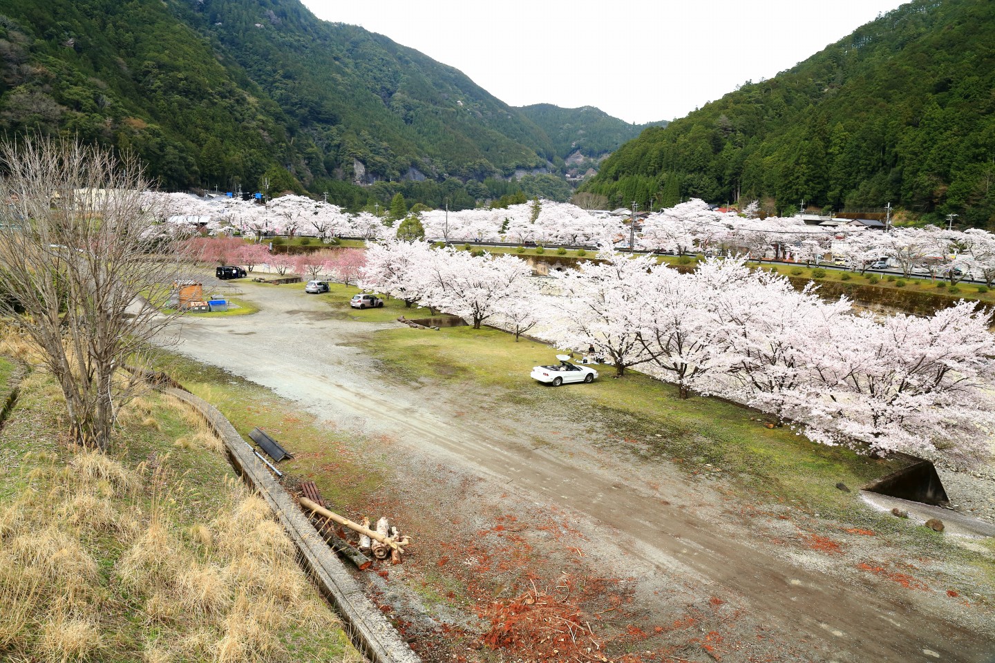 下北山村池原橋横の駐車場