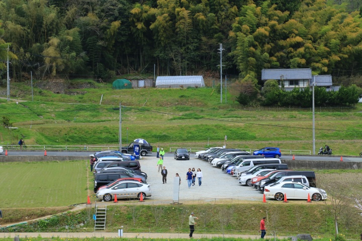 又兵衛桜の駐車場の写真