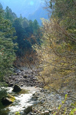 下北山村浦向の沢
