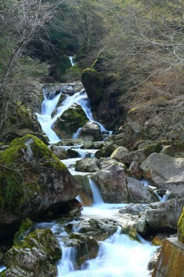 下北山村浦向の小さな滝
