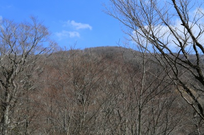 高野龍神スカイライン、龍神村付近の山の絶景写真