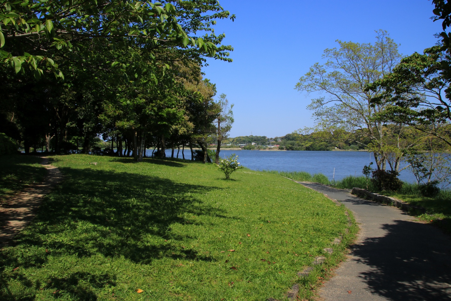 佐鳴湖公園の写真